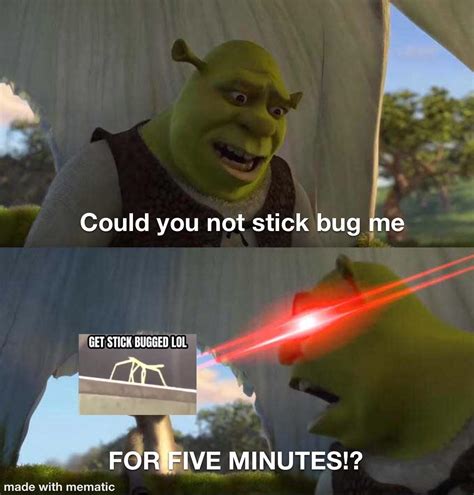 Stick bug = bad : r/memes