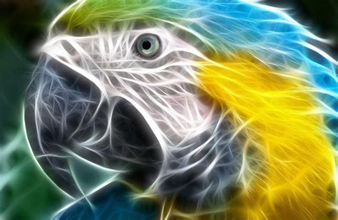 3D Animals Wallpapers - Wallpaper Cave