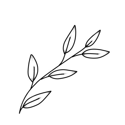 Floral Line Art, Floral Drawing, Floral Sketch, Floral PNG Transparent Image and Clipart for ...