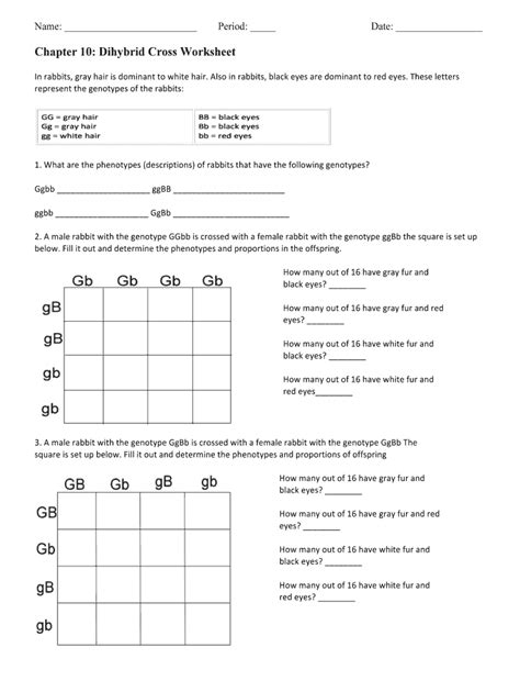 Dihybrid Cross Worksheet Answers – E Street Light