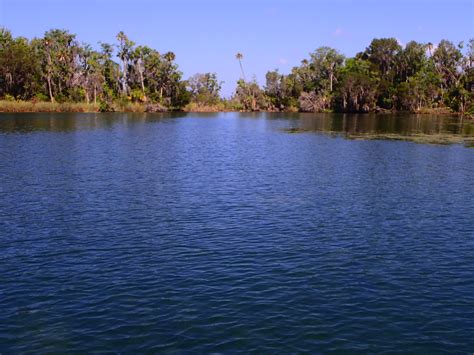 Gallery 2 — Go Local Manatee Tours | Crystal River, Fl