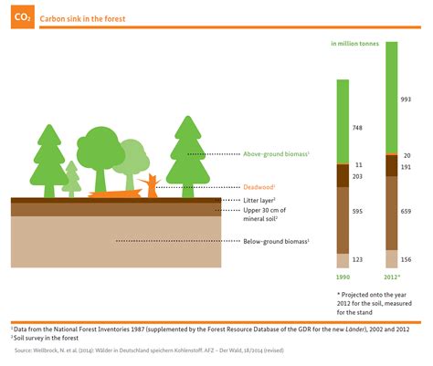 The forests as climate protectors – still a carbon sink: BMEL - Bundeswaldinventur