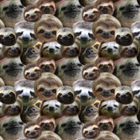 Colorful fabrics digitally printed by Spoonflower - sloths & more sloths | Sloth art, Sloth ...