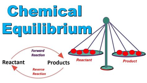 What is Chemical Equilibrium Explain with Example | Class 10 Chemistry ...