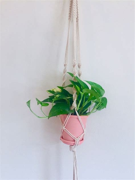 23 Beautiful DIY Macrame Plant Hangers To Hold Indoor Planters | Macrame plant hanger patterns ...