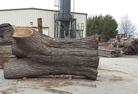 Black Walnut Lumber – Hearne Hardwoods