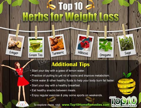 Top 10 Herbs for Weight Loss | Top 10 Home Remedies