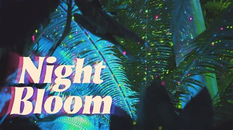 Night Bloom 2019 - The Conservatory of Flowers’ Nighttime Psychedelic ...