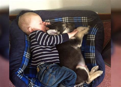 25 Cute Pictures Of Babies Sleeping with Pets – EntertainmentMesh