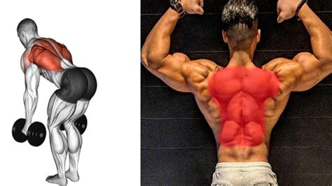 Best BACK EXERCISE AT HOME | THE PERFECT BACK WORKOUT (DUMBBELL ONLY) - YouTube