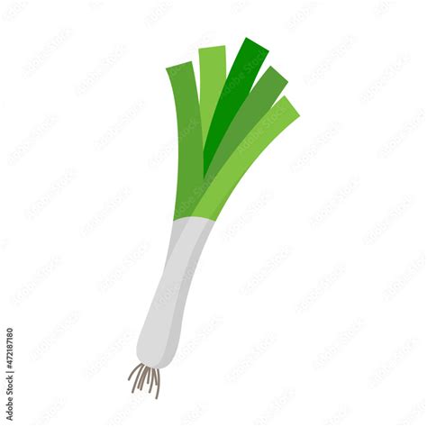 leek vector illustration logo icon clipart Stock Vector | Adobe Stock