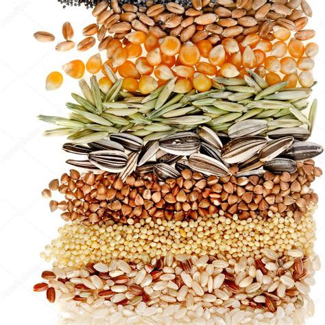 Cereal Grains and Seeds : Rye, Wheat, Barley, Oat, Sunflower, Corn ...