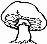 Fungi Drawing Clipartmag Fungus Sketch Coloring Page sketch template