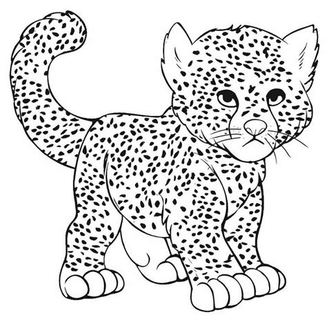 Baby Cheetah Coloring Pages | K5 Worksheets | Coloring pages, Halloween coloring pages, Coloring ...