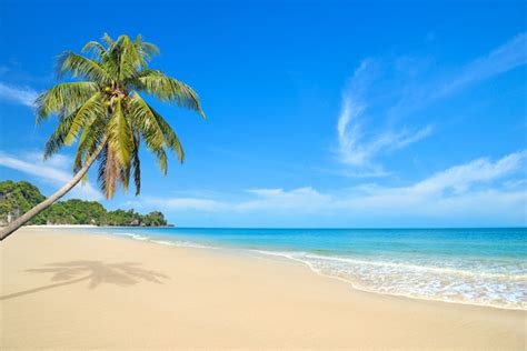 Paisagens Praia Imagens – Download Grátis no Freepik