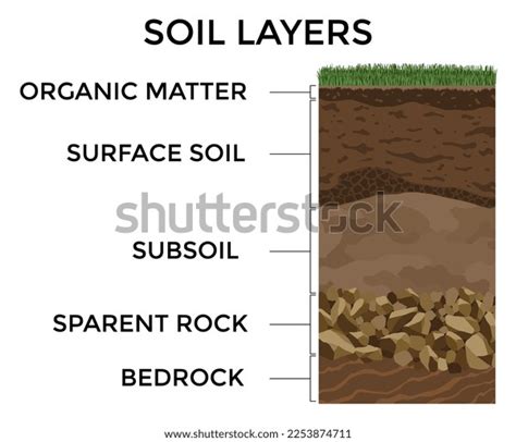 Soil Layers Surface Horizons Upper Layer Stock Vector (Royalty Free) 2253874711 | Shutterstock