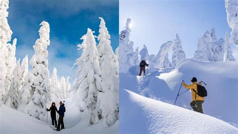 You Can Snowshoe Through This Legit Winter Wonderland Less Than 3 Hours ...