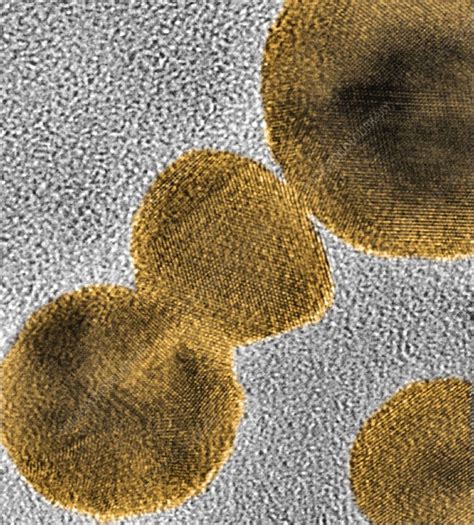 Gold nanoparticles, TEM - Stock Image - F016/7940 - Science Photo Library