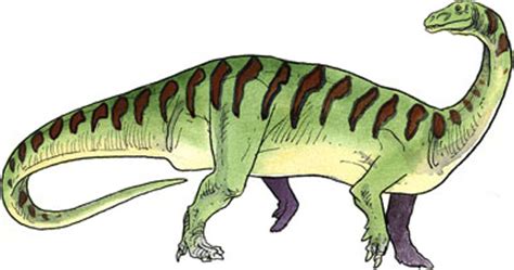 Riojasaurus - Alchetron, The Free Social Encyclopedia