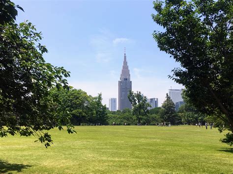 Visiting Shinjuku Gyoen National Garden in Tokyo - All You Need To Know - Erika's Travelventures