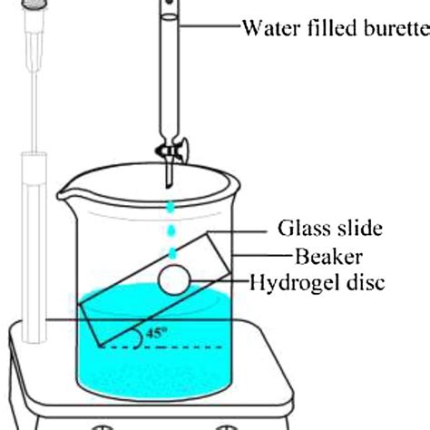 Structure of diloxanide furoate, pectin, methacrylic acid, N, N MBA and... | Download Scientific ...