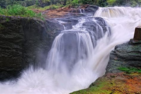 Murchison Falls National Park (Official GANP Park Page)