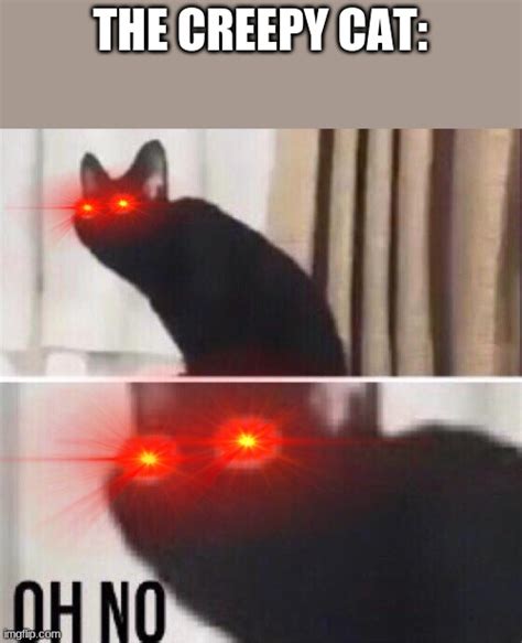 Oh No Cat Meme Template