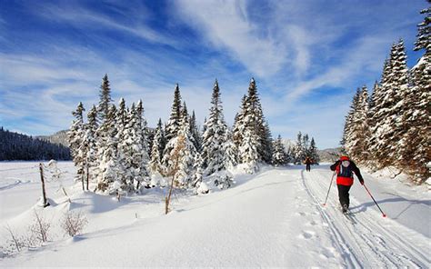 Cross Country Skiing Canada Olympic Park Calgary Alberta Canada