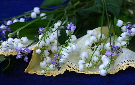 Delicate spring flowers, lily of the valley, lovely, napkins, spring ...