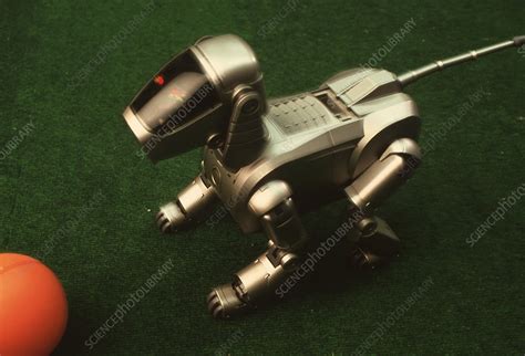 Robot dog - Stock Image - T260/0115 - Science Photo Library