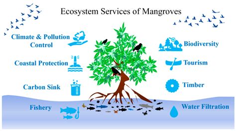 Forests | Free Full-Text | A Systematic Review of the Physicochemical ...