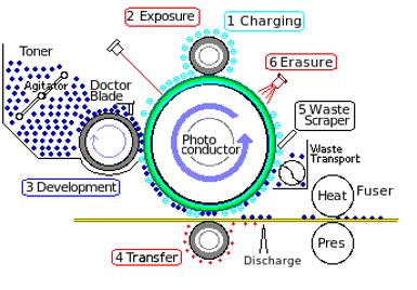 PowerPoint Laser Printer Process Diagram Diagram | Quizlet