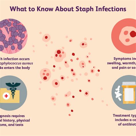 Staphylococcus Aureus Infection Symptoms