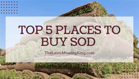 Where To Buy Sod (Sod Near Me, and 5 More Places) - The Lawn Mowing King