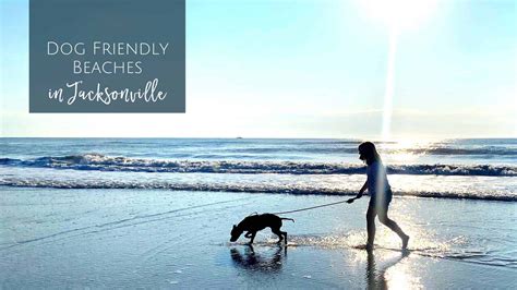 Ultimate Guide to Dog Friendly Beaches in Jacksonville - Jacksonville Beach Moms