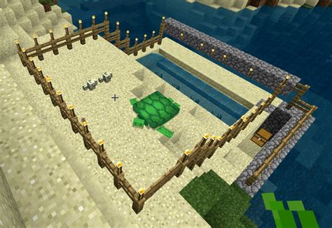 Tutorials/Turtle farming – Official Minecraft Wiki