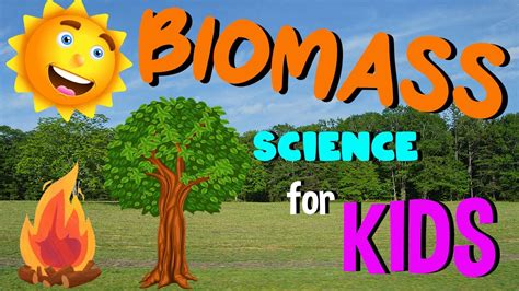 What is Biomass | Science for Kids - YouTube