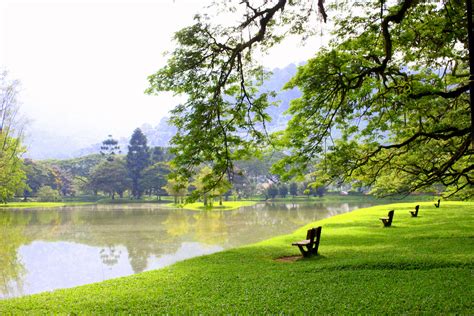 lake garden Taiping,Perak | INSPIRE | WANDERLUST | Pinterest | Taiping, Lakes and Wanderlust