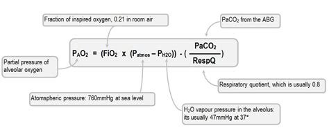 Assessment of oxygenation on the basis of arterial blood gases | Deranged Physiology