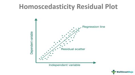 Homoscedasticity - Meaning, Assumption, vs Heteroscedasticity