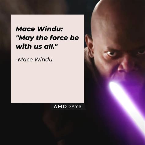 26 Mace Windu Quotes from the Jedi Master to Help the Force Be with You