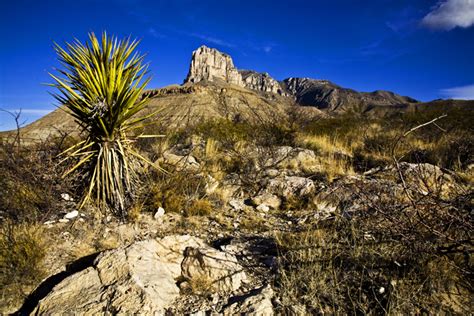 Guadalupe Mountains National Park, a Texas National Park