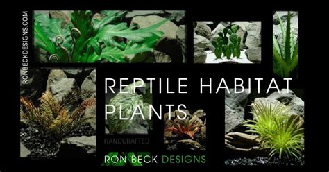 Artificial Reptile Terrarium Plants And Succulents