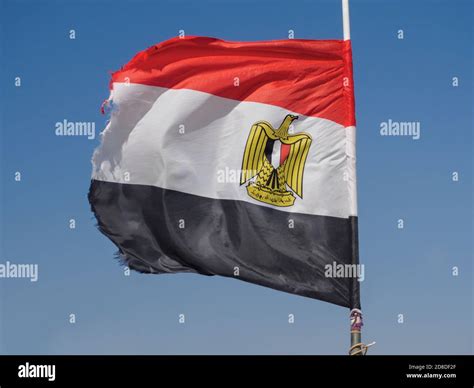 Egyptian flag flapping in the wind against blue sky Stock Photo - Alamy