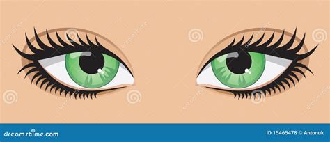 Green Eyes Of Woman Cartoon Vector | CartoonDealer.com #4929111