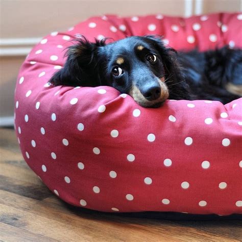 Fancy dog beds designs for the comfort of your beloved pet