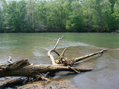 Ocmulgee River - New Georgia Encyclopedia