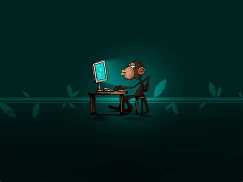 Computer Coding , Funny Coding HD wallpaper | Pxfuel