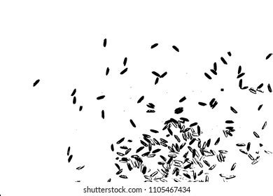 Basmati Rice Close Rice Background White Stock Vector (Royalty Free) 1105467434 | Shutterstock