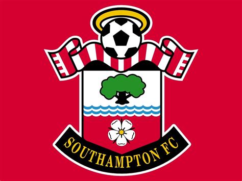 Southampton Football Club Flag | Download Pictures and Photo Free